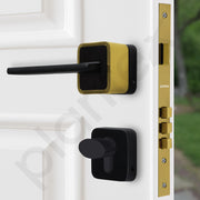 Plantex Door Lock for Home/Main Door Lock Set with 3 Computerized Key/Mortise Locks for Door with Brass Lockbody & Cylinder (SM036, Gold & Black)
