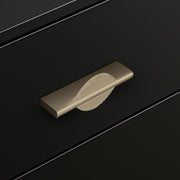 Plantex Cabinet Handle/96mm Handle for Cabinet/Wardrobe/Kitchen Handle/Door Pull-Push Handle for Home/Office - Pack of 1 (Satin)