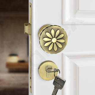 Plantex Heavy Duty Mortise Door Lock/Handle Set for Home/Office (Brass Antique & Gold)
