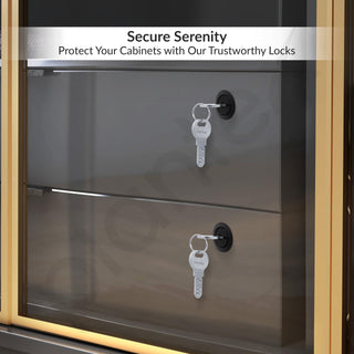 Plantex Drawer Lock/20mm Brass Lock for Cupboard/Multipurpose Cupboard Lock with Key for Home/Office - Pack of 3 (Black)