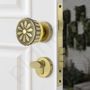 Plantex Heavy Duty Mortise Door Lock/Handle Set for Home/Office (Brass Antique & Gold)