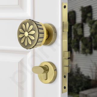 Plantex Heavy Duty Mortise Door Lock/Handle Set for Home/Office (Brass Antique & Gold)