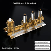 Plantex 3 Way Thermostatic Shower Diverter/Pure Brass Concealed & Exposed 3-Outlet Mixer Valve Body/Multi-Function Bathroom Diverter with Button Control - (Kubix Primium-2587)