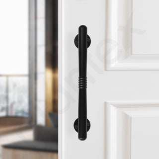 Plantex 8 Inch Main Door Handle/Stainless Steel Pull-Push Handle for Main Door/3 Years Warranty Pack of 1 (S-142, Black)