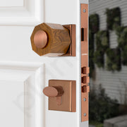 Plantex Heavy Duty Door Lock/Stainless Steel and Wooden Main Door Mortise Lock Handle/Handle Set for Home/Office/Door Accessories (Rose Gold, Wooden)
