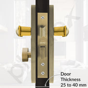 Plantex Heavy-Duty Door Lock Set - Main Door Lock Handle Set/Mortise Lock with 3 Keys, Brass Lock Body & Cylinder (8124 - Brass Antique & PVD Gold)