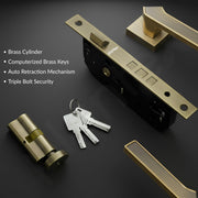 Plantex Door Lock for Home/Main Door Lock Set/Mortise Lock Set with Brass Lock Body & Cylinder - Pack of 1 (7133, Brass Antique & PVD Gold)
