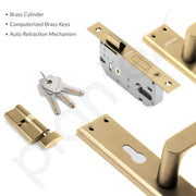 Plantex Door Lock Set - Main Door Lock Plate Handle Set/Mortise Lock with 3 Keys/Lock Body and Cylinder - Pack of 1 (OHMH-81, Brass Antique)