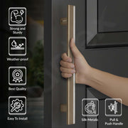 Plantex 12 Inch Main Door Handle/Aluminium Handle for Door/Pull-Push Handle for Home/Office/3 Years Warranty By Plantex - Pack of 1 (APS-612, Silk Metalic)