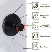 Plantex Pure Brass 40mm Thread Diameter Metropole Flush Valve for Toilet/Toilet Flush/Flush Valve for Urinal Commercial and Residential Use -(ALD-1302-Black)