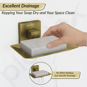Plantex Soap Holder for Bathroom/Stainless Steel Soap Stand/Soap Case/Soap Dish/Bathroom Accessories - Pack of 1, Aqua (Brass Antique)