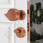 Plantex Heavy Duty Door Lock/Main Door Mortise Lock Handle/Handle Set for Home/Office/Door Accessories (Rose Gold)
