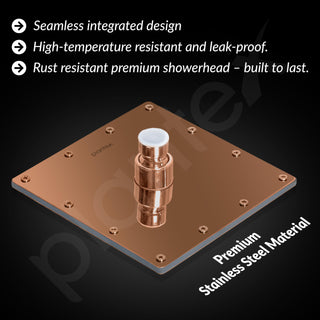 Plantex Stainless Steel Overhead Shower 6 x 6 inch with Water-Saving Technology/High pressure Rain Shower Head without Arm/Bathroom Shower -(Sandwich-PVD Rose Gold)