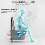 Plantex Platinum Ceramic Rimless Wall Hung Western Commode/Rimless Washdown Flushing System/P Trap Commode for Bathroom with Soft Close Toilet Seat (Smoke)
