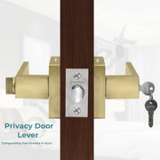 Plantex Door Lock/Heavy Duty Main Door Lock with 3 Key/Mortise Locks for Home/Office/Hotel - (9807-Brass Antique)