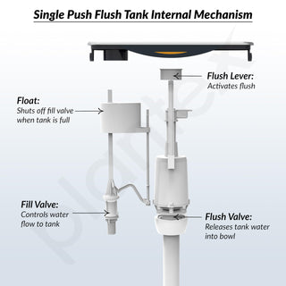 Plantex Flush Tank for Toilet with 10 Ltr Water Capacity/Single Flushing Cistern for Bathroom/Polypropylene Toilet Flush Tank - Pack of 1 (Boss, Navy Blue & White)