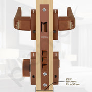 Plantex Premium Mortise Lock with 3 Years of Warranty/Main Door Lock Set for Home/Door Locks (PT-013, Rose Gold)