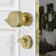 Plantex Heavy Duty Door Lock/Main Door Mortise Lock Handle/Handle Set for Home/Office/Door Accessories (Brass Antique, Gold)