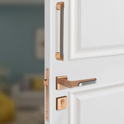 Plantex Mortise Lock/Door Handle for Main Door/Lock with 3 Computerized Keys/Pull-Push Handle for Home/Office/Hotel - Combo (PVD Choco-Satin Black)