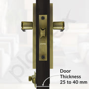 Plantex Heavy Duty Door Lock ÃƒÂ¢Ã¢â€šÂ¬Ã¢â‚¬Å“ Bathroom Door Lock/Mortise 8inch Keyless Plate Handle Set for Home/Bathroom/Store Room/Balcony/Office with Baby Latch (8125, Brass Antique & PVD Gold)