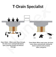 Plantex Solid Brass Floor Drainer for Bathroom/Floor Drain Jali/Floor Drain with Cockroach Trap Jali/Kitchen - (Brass Antique, 5 x 5Inches)