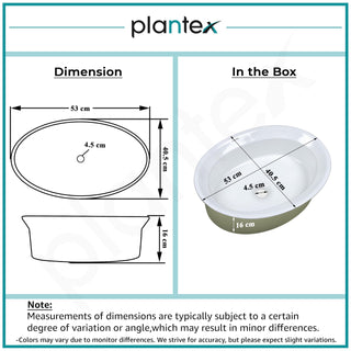 Plantex Ceramic Table Top Washbasin for Bathroom/Countertop Basin/Oval Counter Top Wash Basin for Home/Office/Hotel (21x16x6 Inch - White&Green)
