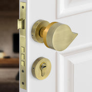 Plantex Heavy Duty Door Lock/Main Door Mortise Lock Handle/Handle Set for Home/Office/Door Accessories (Brass Antique, Gold)