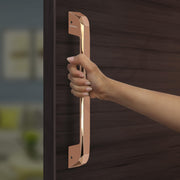Plantex Door Handle/ Glossy Main Door Handle/14 Inch Pull-Push Handle For Home/Office/Hotel - Pack Of 1 (SH-351, Choco) - 3 Years Warranty,Multicolor