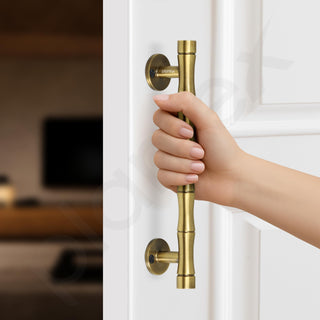 Plantex Door Handle/Stainless Steel Main Door Handle/8 Inch Pull-Push Handle/3 Years Warranty Pack of 2 (S-140, Brass Antique)