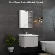 Plantex Vanity for Bathroom/Rectangle Cabinet with Wash Basin and Mirror/Bathroom Organizer for Home - (NZBC-24)