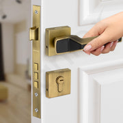 Plantex Main Door Lock for Home/Door Handle Locks/Premium Mortise Door Lock Set with 3 Years Warranty by Plantex (Brass Antique & Black)