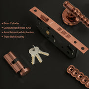 Plantex Mortise Door Lock/Heavy Duty Lock for Main Door/Mortise Locks for Home/Office/Hotel-3 Brass Keys (1031 - PVD Rose Gold)