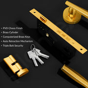 Plantex Mortise Door lock/Main Door Lock with 3 Years of  Warranty/Door handle lock set Brass Lock Body & Cylinder  (7135, PVD Gold)
