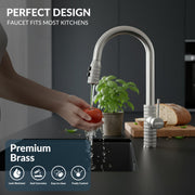 Plantex Pull-Down Kitchen Sink Tap/Pure Brass Sink Tap for Kitchen Basin with 360â° Swivel Spout/Kitchen Sink Faucet- (2045, Matt)