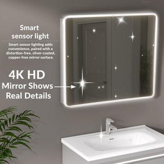 Plantex Vanity for Bathroom/Rectangle Cabinet with Wash Basin and Mirror/Bathroom Organizer for Home - (NZBC-08)