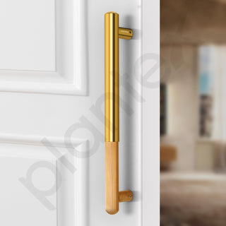 Plantex Door Handle/14 Inch Main Door Handle/Stainless Steel and Aluminium Door Handle/Pull-Push Door Handle/Door Accessories (Pack of 1, Gold)