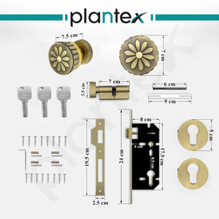 Plantex Heavy Duty Mortise Door Lock/Handle Set for Home/Office (Brass Antique & Gold)