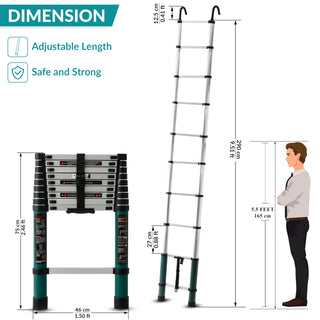 Plantex 2.9m (9.5 ft.) Aluminium Telescopic Ladder/10-Steps Portable Ladder with Removable Hooks/Foldable Multipurpose Collapsible Ladder for Home & Outdoor Use/2 Years of Warranty by Plantex-(Green)