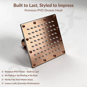 Plantex Stainless Steel Overhead Shower 6 x 6 inch with Water-Saving Technology/High pressure Rain Shower Head without Arm/Bathroom Shower -(Sandwich-PVD Rose Gold)