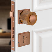 Plantex Heavy Duty Door Lock/Stainless Steel and Wooden Main Door Mortise Lock Handle/Handle Set for Home/Office/Door Accessories (Rose Gold, Wooden)