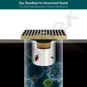 Plantex Solid Brass Floor Drain/Shower Drain/Bathroom Floor Drain with Cockroach Trap/Kitchen- (Brass Antique, 5 x 5 Inches)