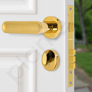 Plantex Brass Premium Door Lock With 3 Years Warranty - Main Door Knob for Home, Mortise Lock Set With PVD Gold Finish