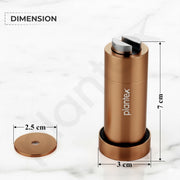 Plantex Stainless Steel Wall-Mounted Magnetic Door Stopper/Door Catcher for Wooden Door/Stops for Door - Pack of 2 (PVD Rose Gold)