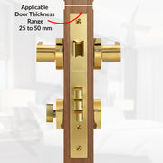 Plantex Door Lock Set with Keys/Mortise Door Lock for Home/Office/Hotel - Pack of 1 (OHMH-21, Brass Antique & PVD Gold)