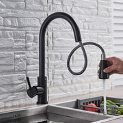 Plantex Stainless Steel 304 Single Lever Kitchen Tap/Hot & Cold-Water Mixer Tap with Flexible 360Ãƒâ€šÃ‚Â° Swivel Spout/Deck Mounted (8424-Black)