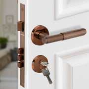Plantex Premium Door Lock with 3 Years of Warranty/Main Door Lock for Home/Mortise Locks for Door (PVD Rose Gold)
