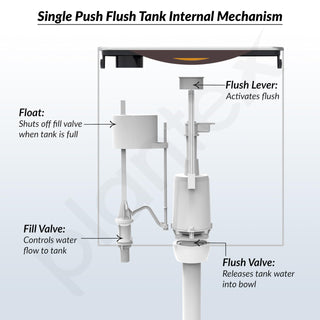 Plantex Flush Tank for Toilet with 10 Ltr Water Capacity/Single Flushing Cistern for Bathroom/Polypropylene Toilet Flush Tank - Pack of 1 (Boss, Brown & White)