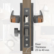 Plantex Heavy-Duty Door Lock Set - Main Door Handle Set/ 6-Lever Lock Mechanism with 3 Years of Warranty by Plantex/Mortise, Brass Lock Body & Cylinder (8114 - Satin Black & PVD Choco)