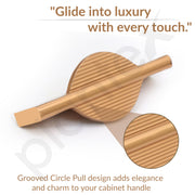Plantex Cabinet Handle/Kitchen Cabinet Door Handle/Wardrobe/96 mm Cupboard Handle/Door Pull-Push Handle for Home/Office - Pack of 2 (Gold)