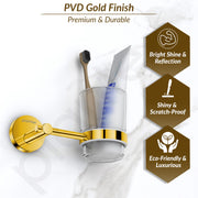 Plantex 304 Grade Stainless Steel Toothbrush/Paste and Tumbler Holder for Bathroom and Wash Basin/Bathroom Accessories - Oreo (Gold)